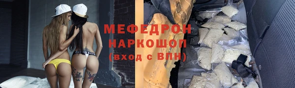прущие грибы Новозыбков