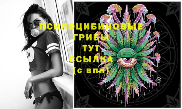 мяу мяу мука Новодвинск