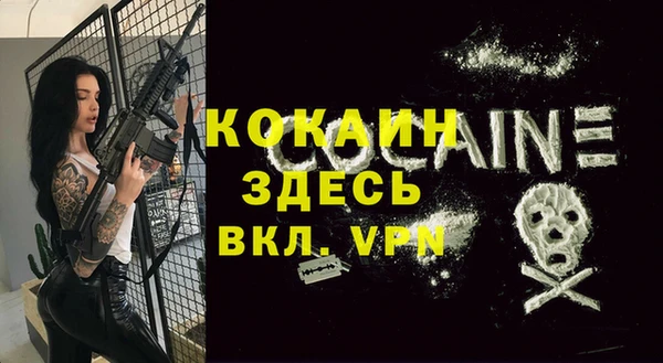дмт Абаза