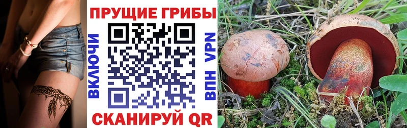 Псилоцибиновые грибы Psilocybe Янаул