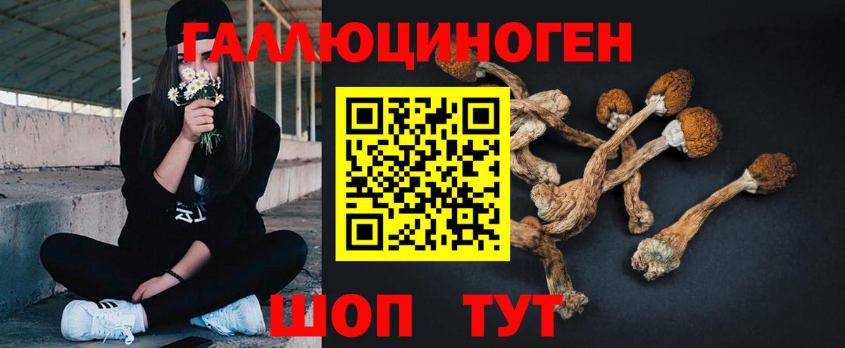 Псилоцибиновые грибы мицелий Янаул